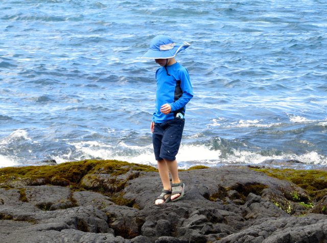 Punalu'u Black Sand Beach - Tidepooling