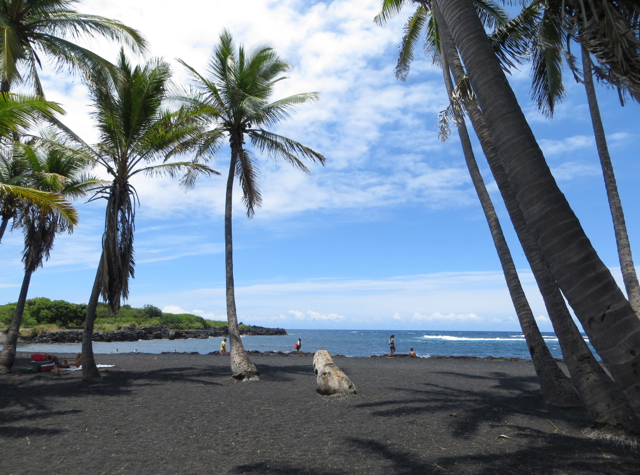 Punalu'u Black Sand Beach Photo Tour