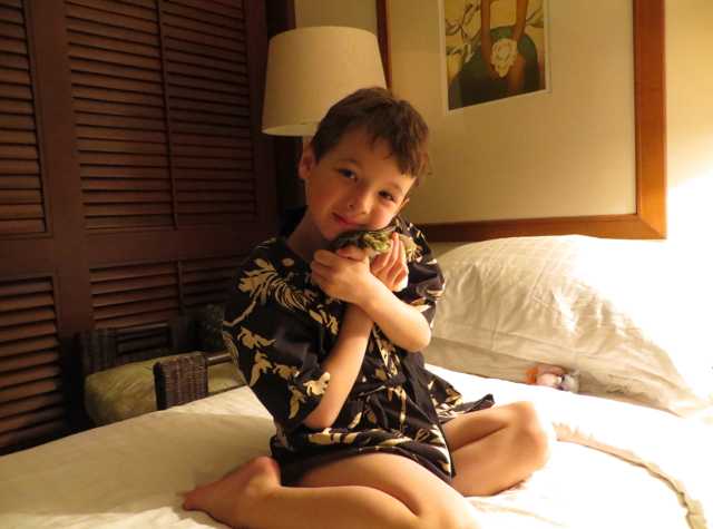 Four Seasons Hualalai Review - With New Turtle Friend