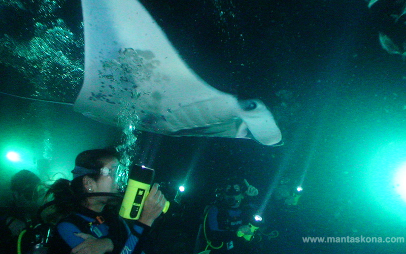 manta ray night dive hawaii dive site map