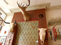 Square_killdevilhill