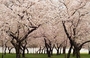 Square_best%20luxury%20hotels%20in%20washington%20dc